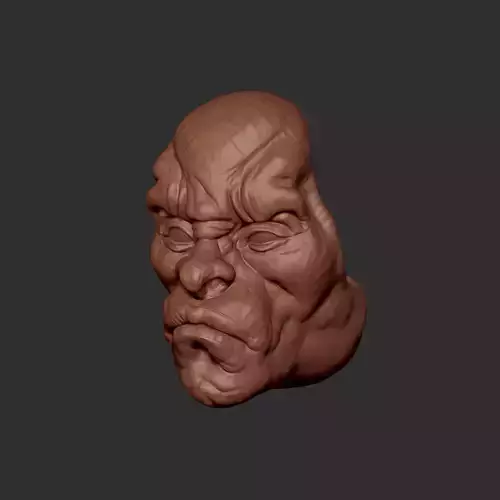 Face bowl 3D print model