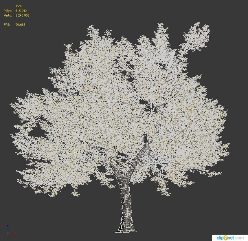 Ash-tree tree with leaves 3D model_4