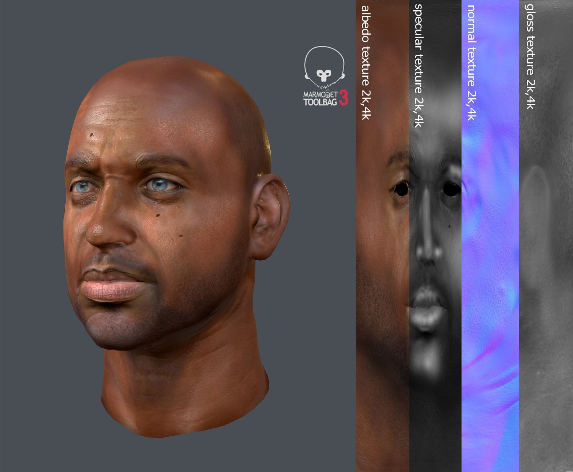 Male head PBR Realistic low poly Low-poly 3D model_5