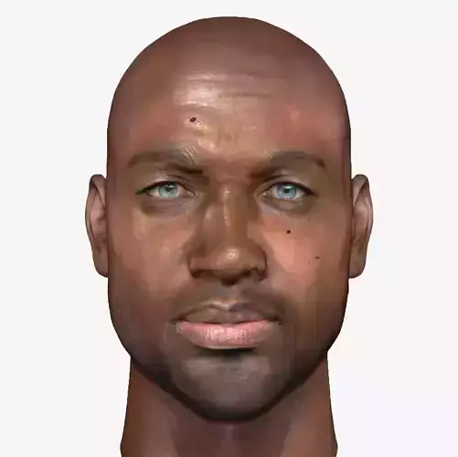 Male head PBR Realistic low poly