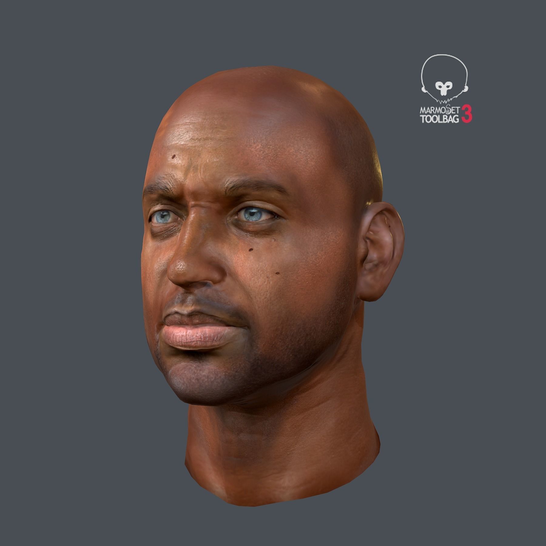 Male head PBR Realistic low poly Low-poly 3D model_8