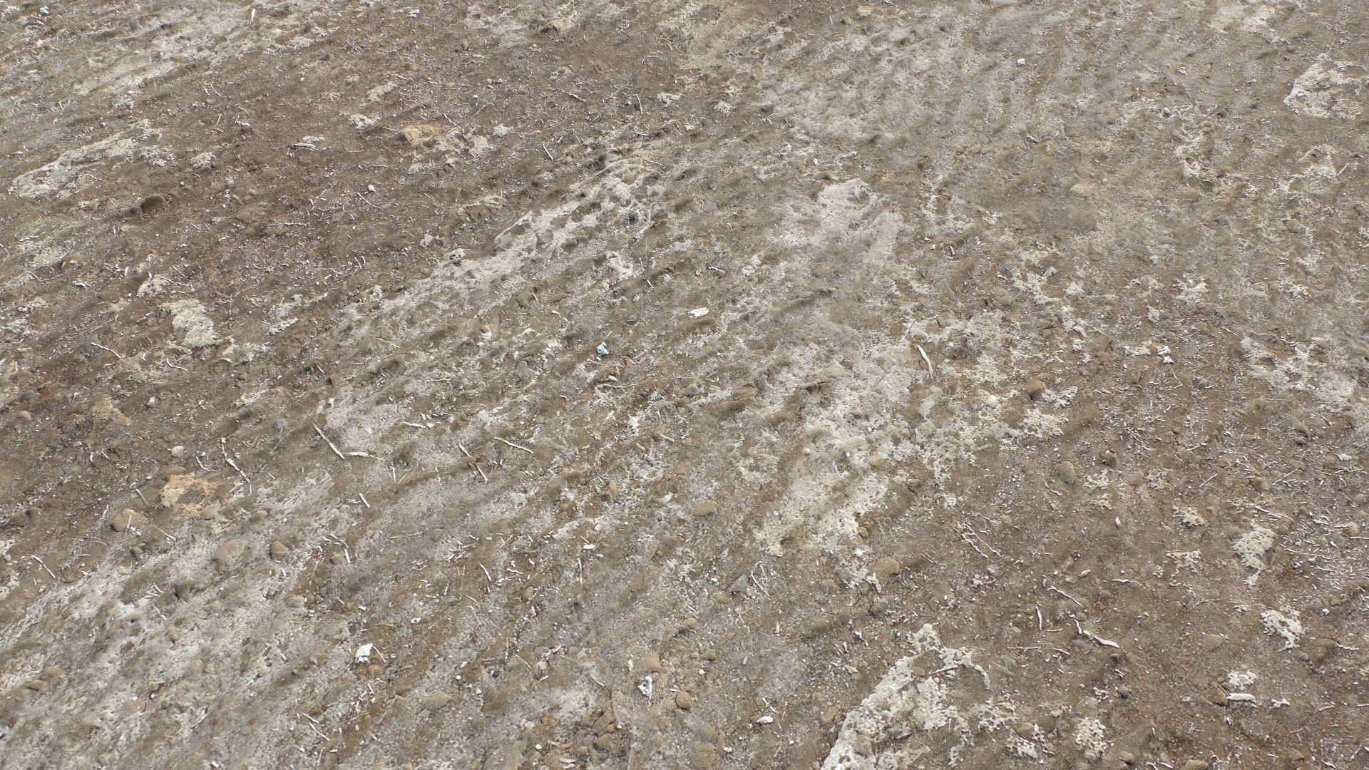 Dirt Terrain PBR Pack 16 Texture_8