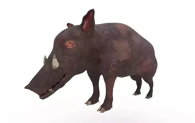Zombie Boar
