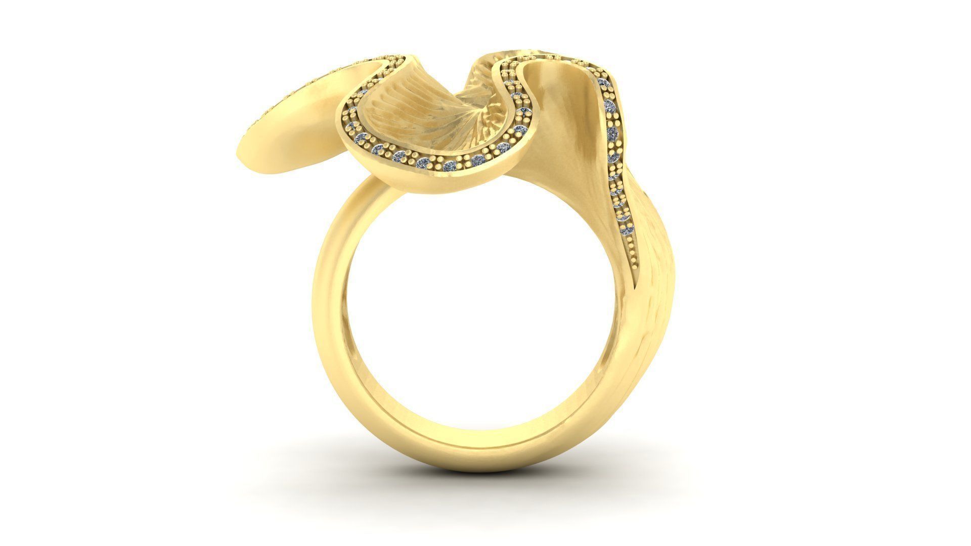 Ring Iris 3D print model_3