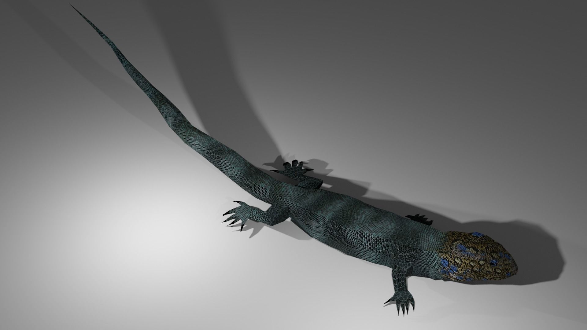 Agama Lizard Low-poly 3D model_3