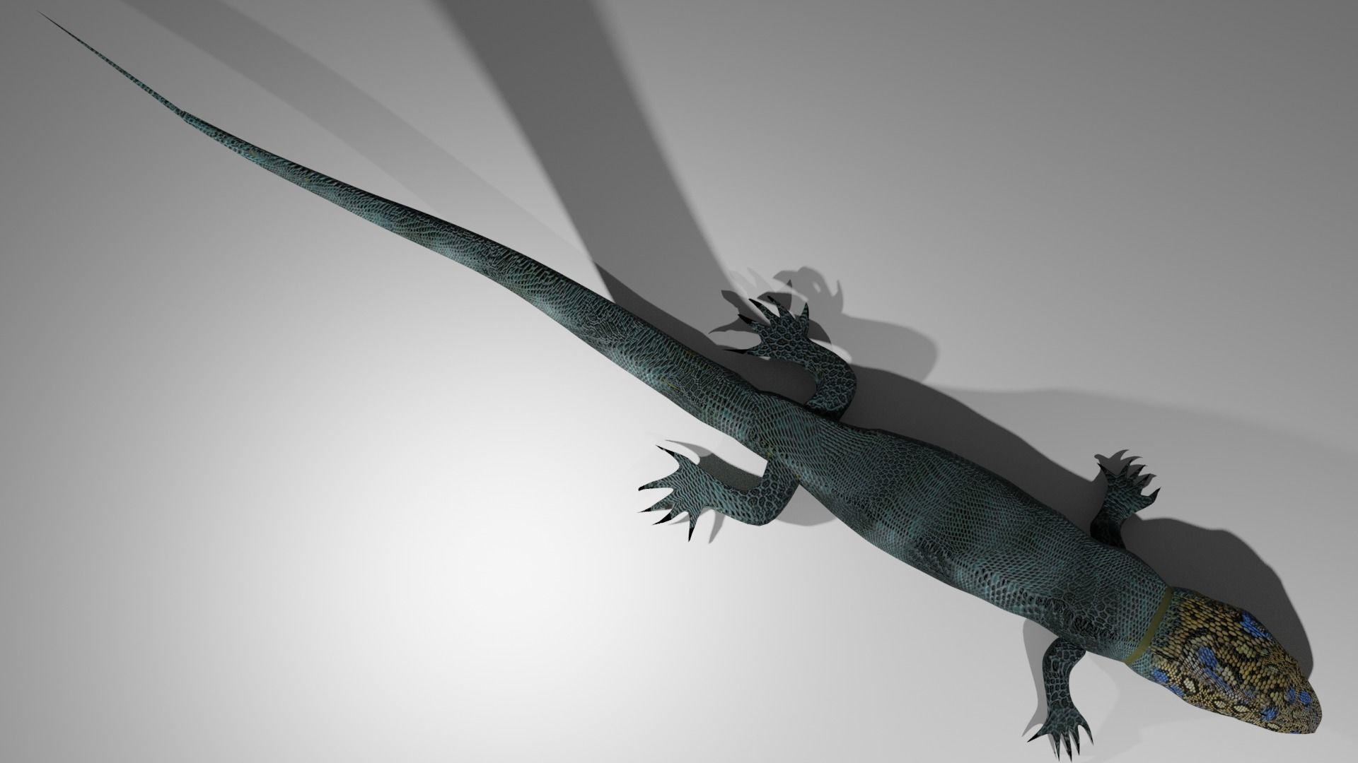 Agama Lizard Low-poly 3D model_1