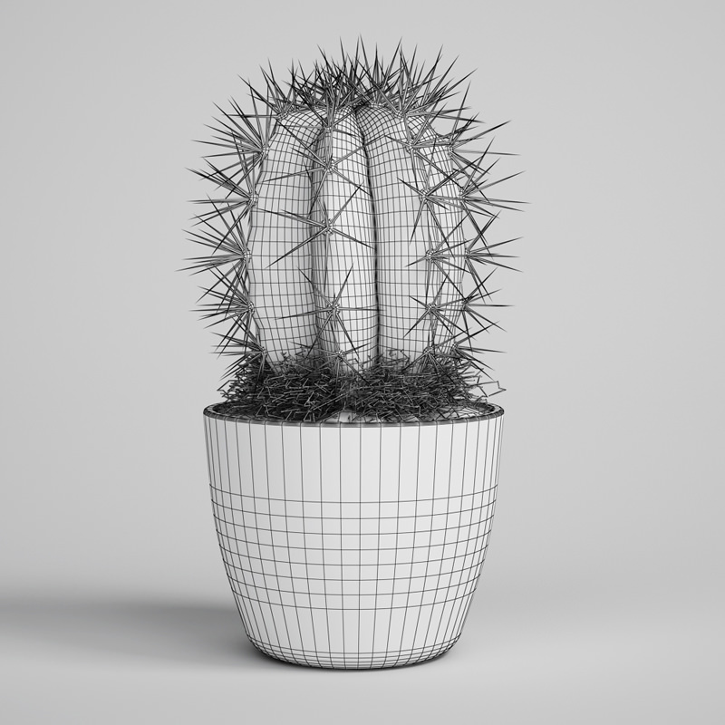 CGAXIS Cactus 3D model_1
