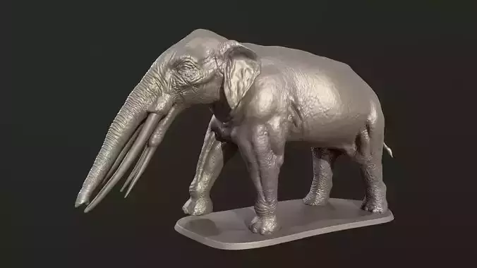 Stegotetrabelodon syrticus 3D print model