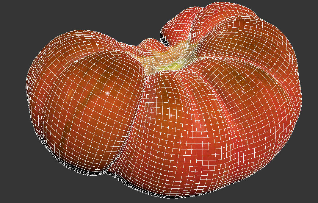 Tomato 3D model_11