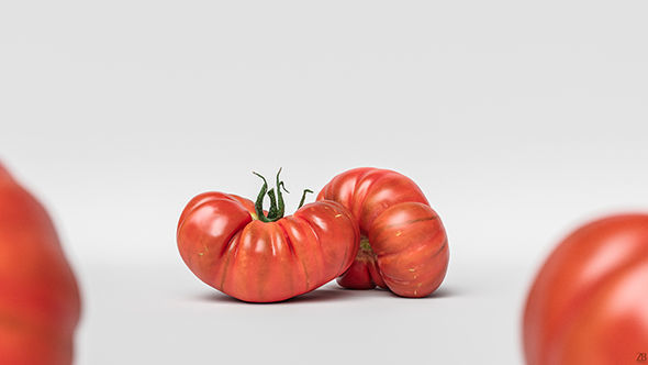 Tomato 3D model_12