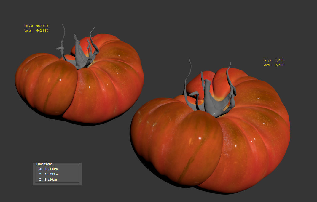 Tomato 3D model_9
