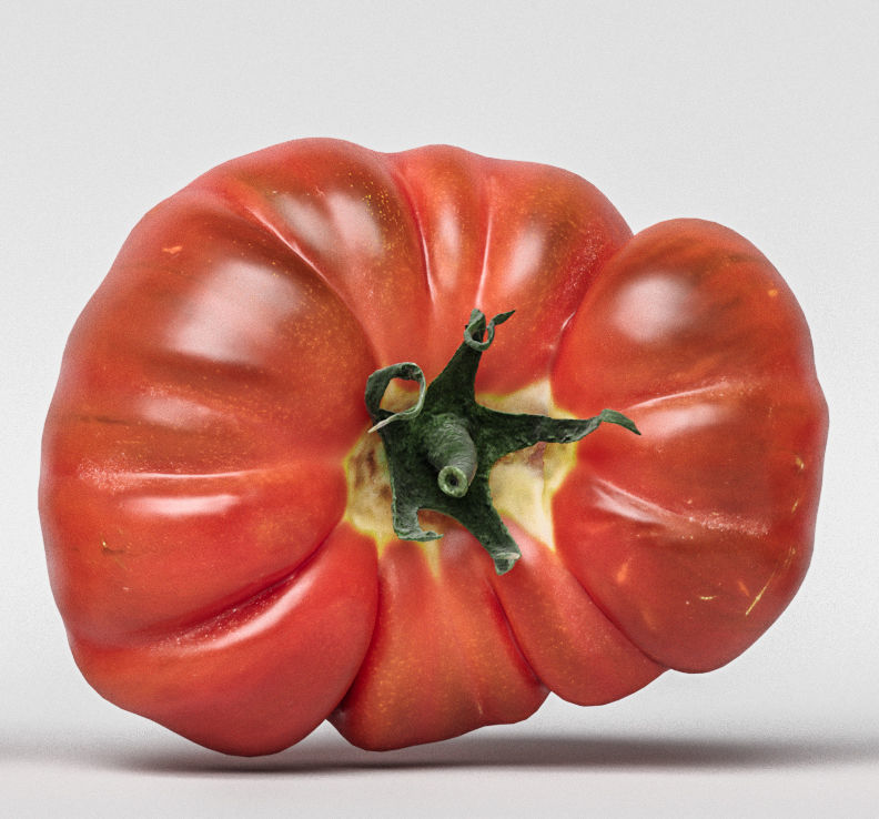 Tomato 3D model_7