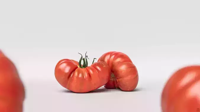 Tomato 3D model
