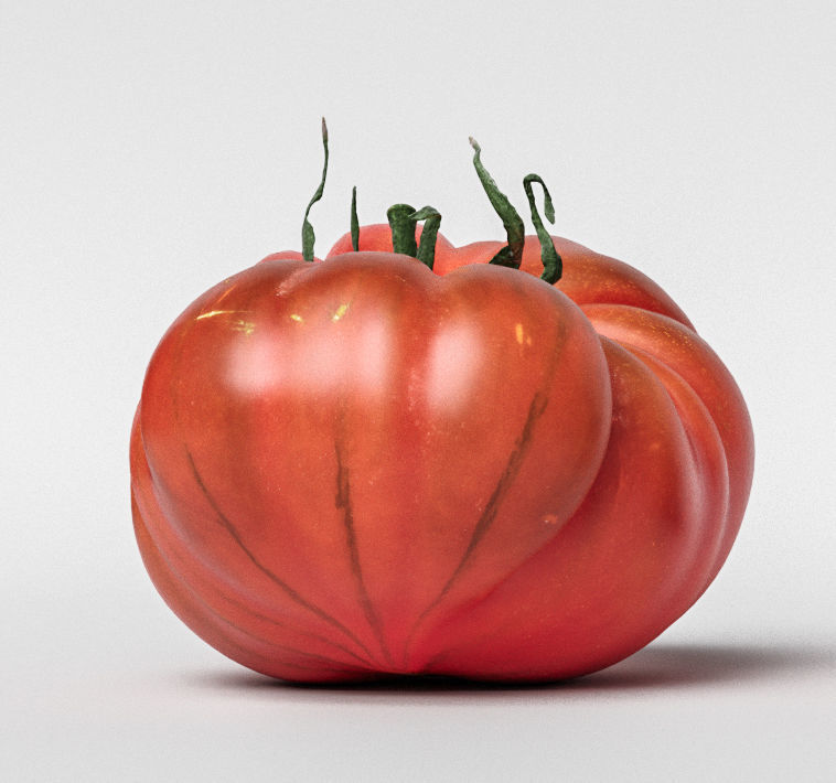 Tomato 3D model_5