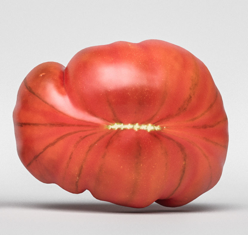 Tomato 3D model_8
