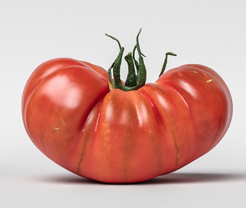 Tomato 3D model_6