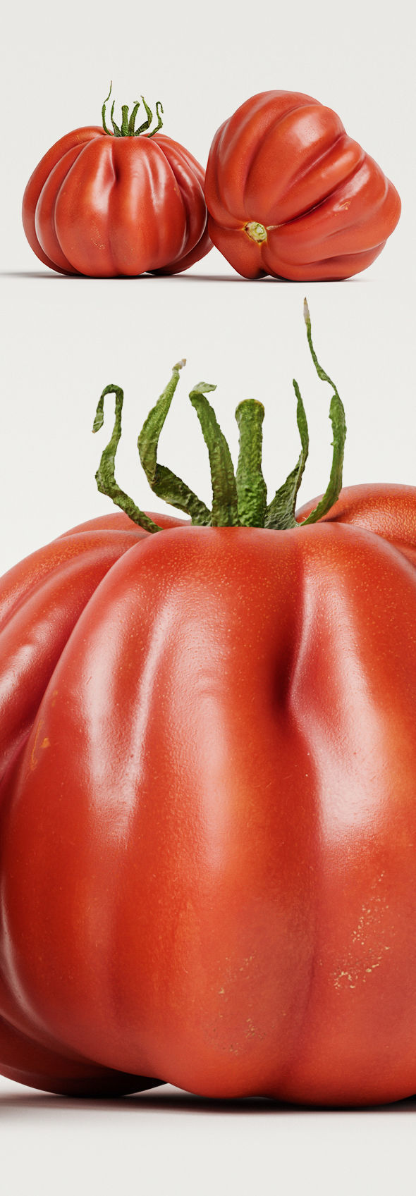 Tomato 3D model_11