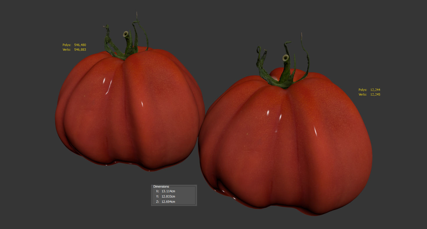 Tomato 3D model_8
