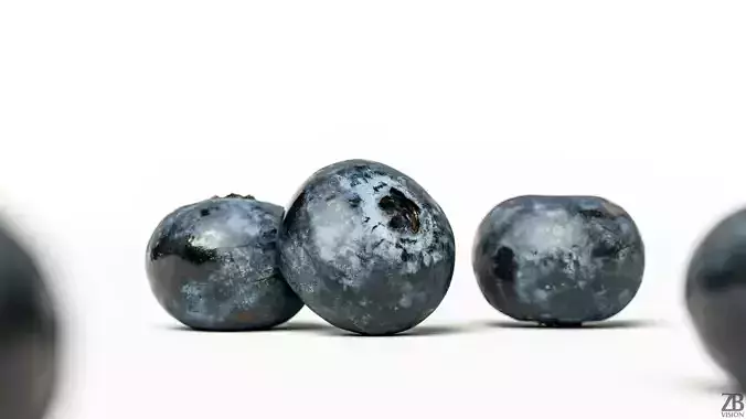 Blueberry 3D model