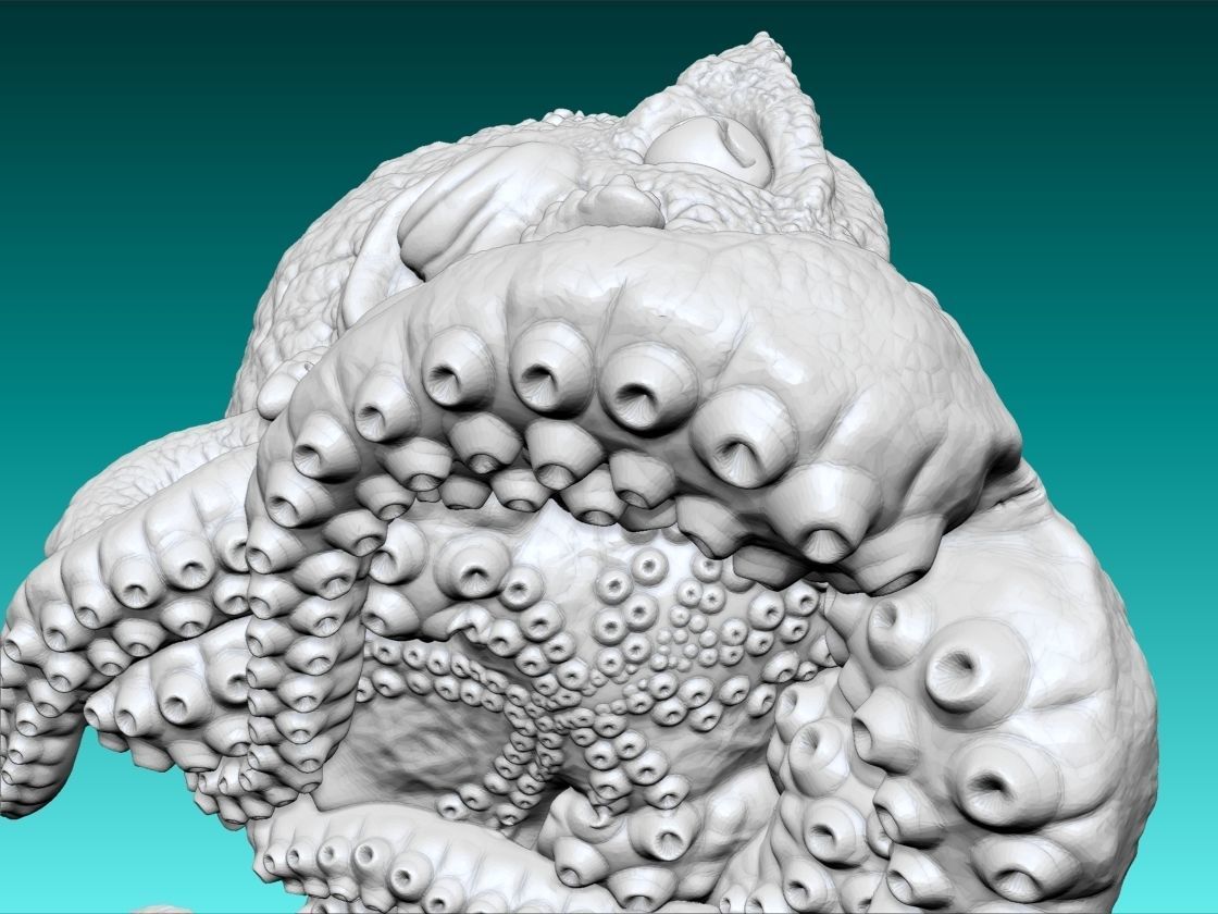 Octopus 3d Print glowing 3D print model_8