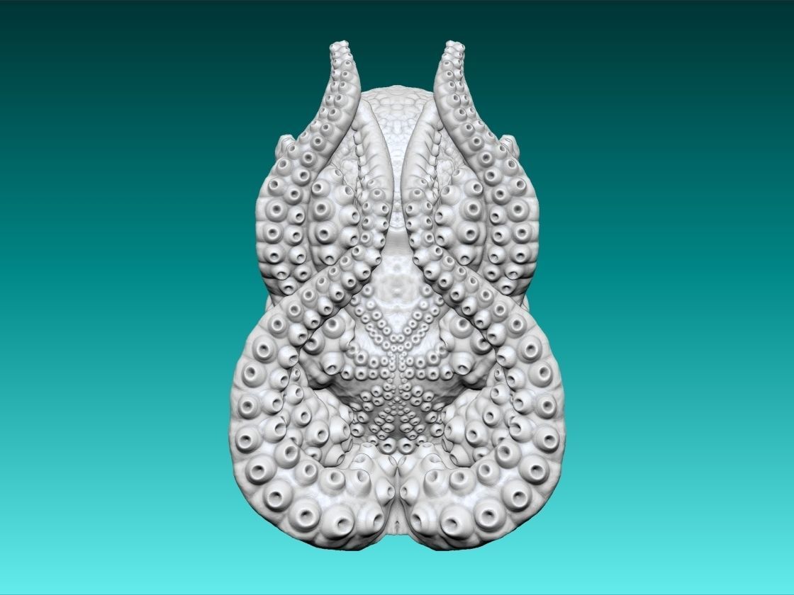 Octopus 3d Print glowing 3D print model_6