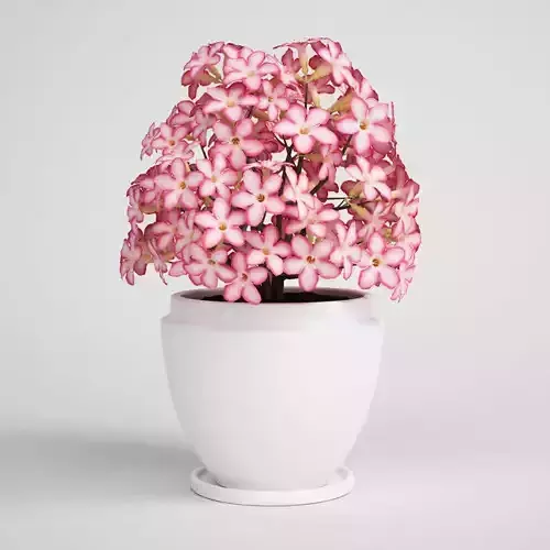 CGAXIS Potted Pink Flowers