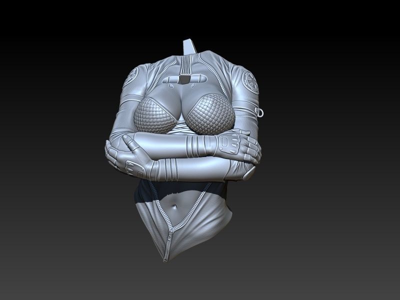 Star Wars Tie Bomber Pin Up Girl 3D print model_5