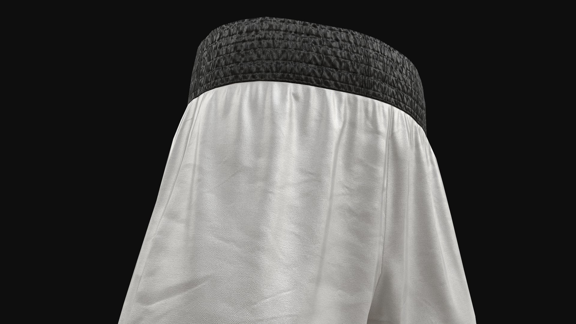 Boxing shorts pack 3D Model Collection_17