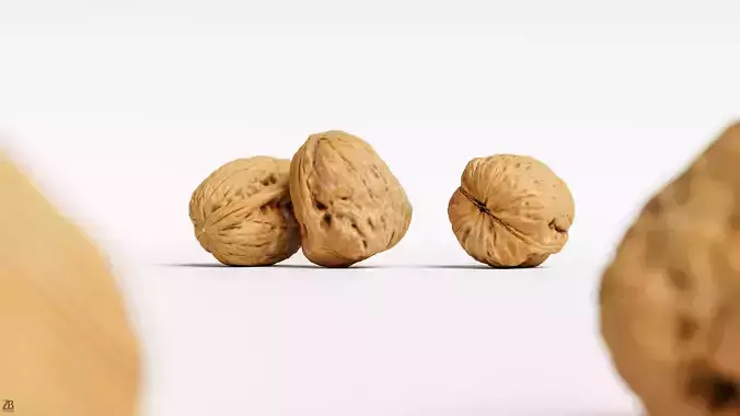 Walnut