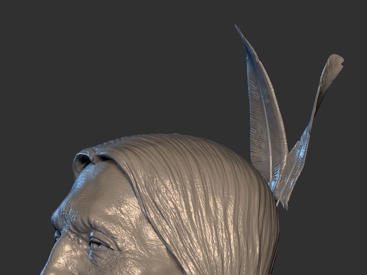 American Native 3D print model_11