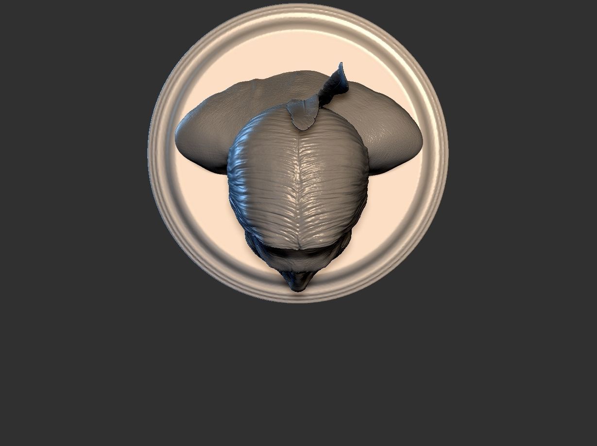 American Native 3D print model_4