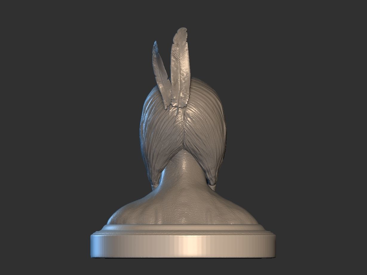 American Native 3D print model_5