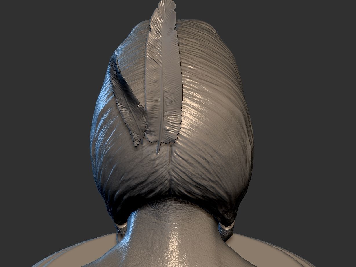 American Native 3D print model_10