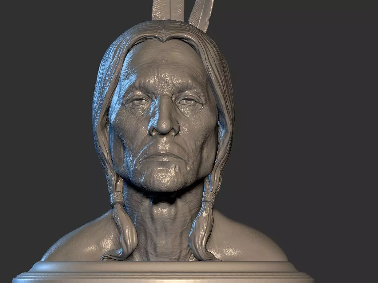 American Native 3D print model_0
