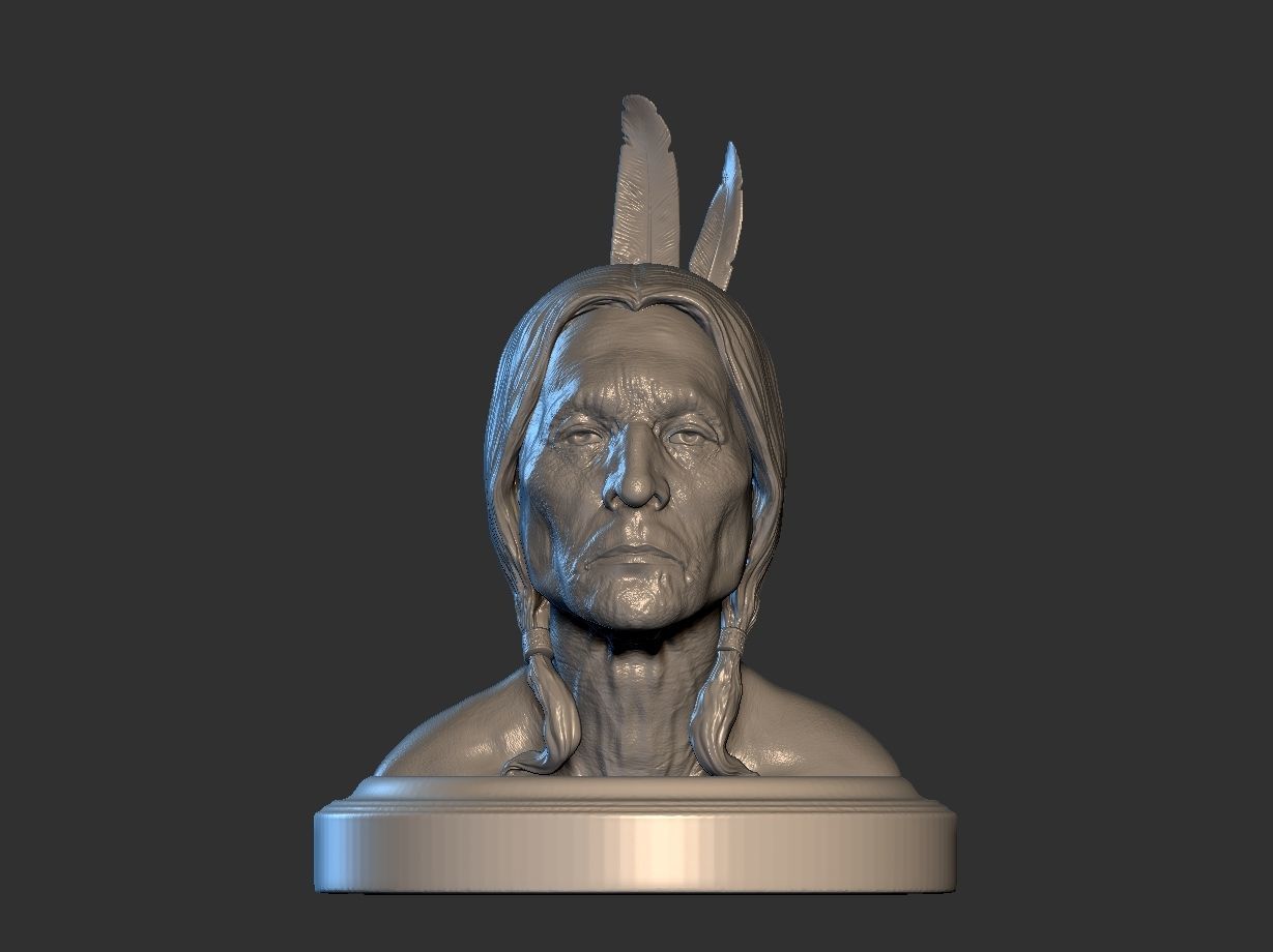 American Native 3D print model_2