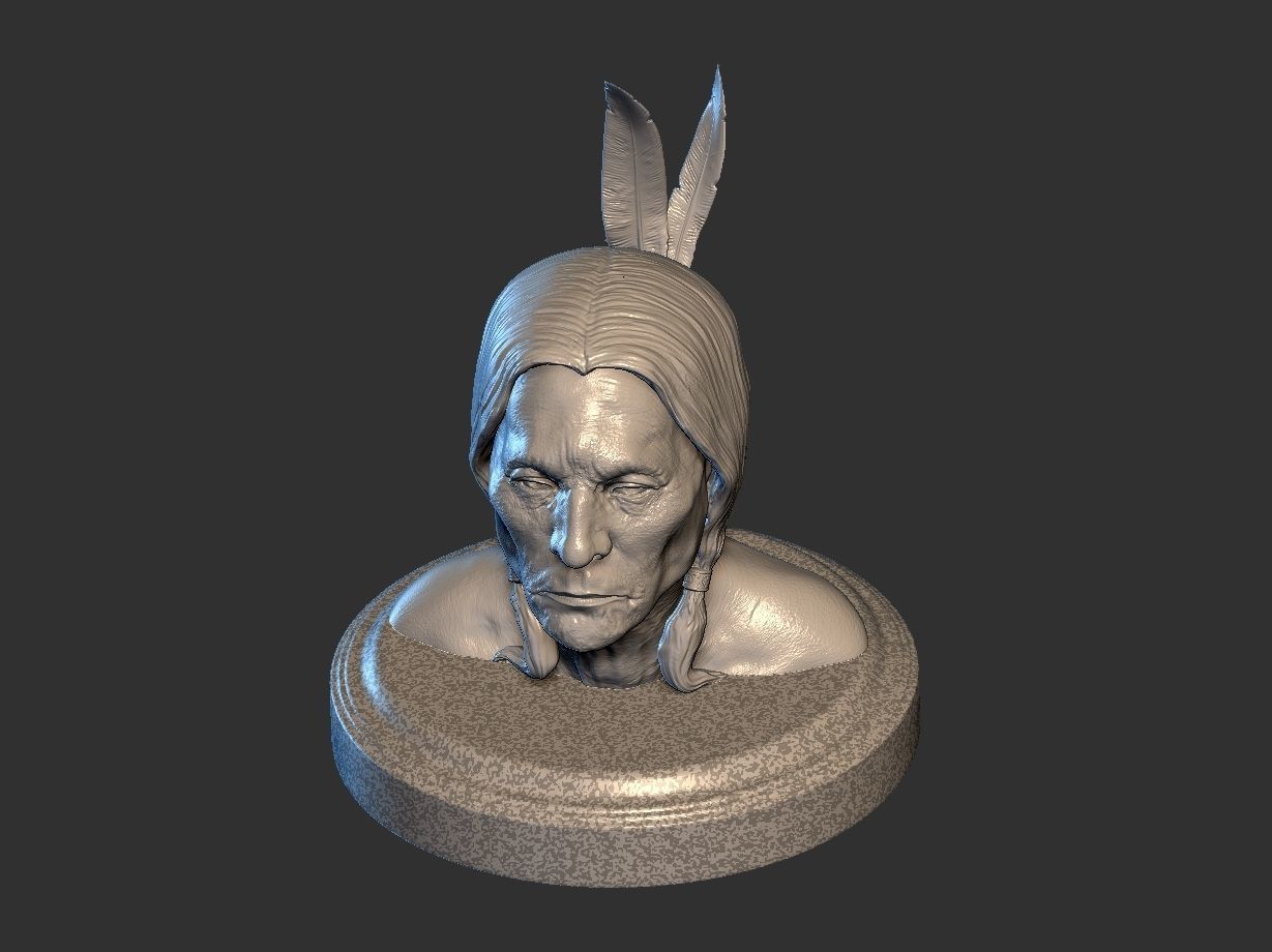 American Native 3D print model_7