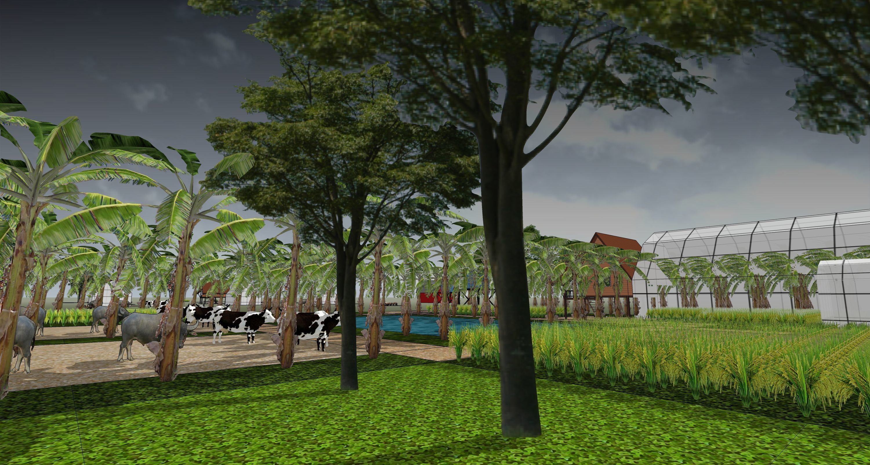 Tropical farm 3D model_6