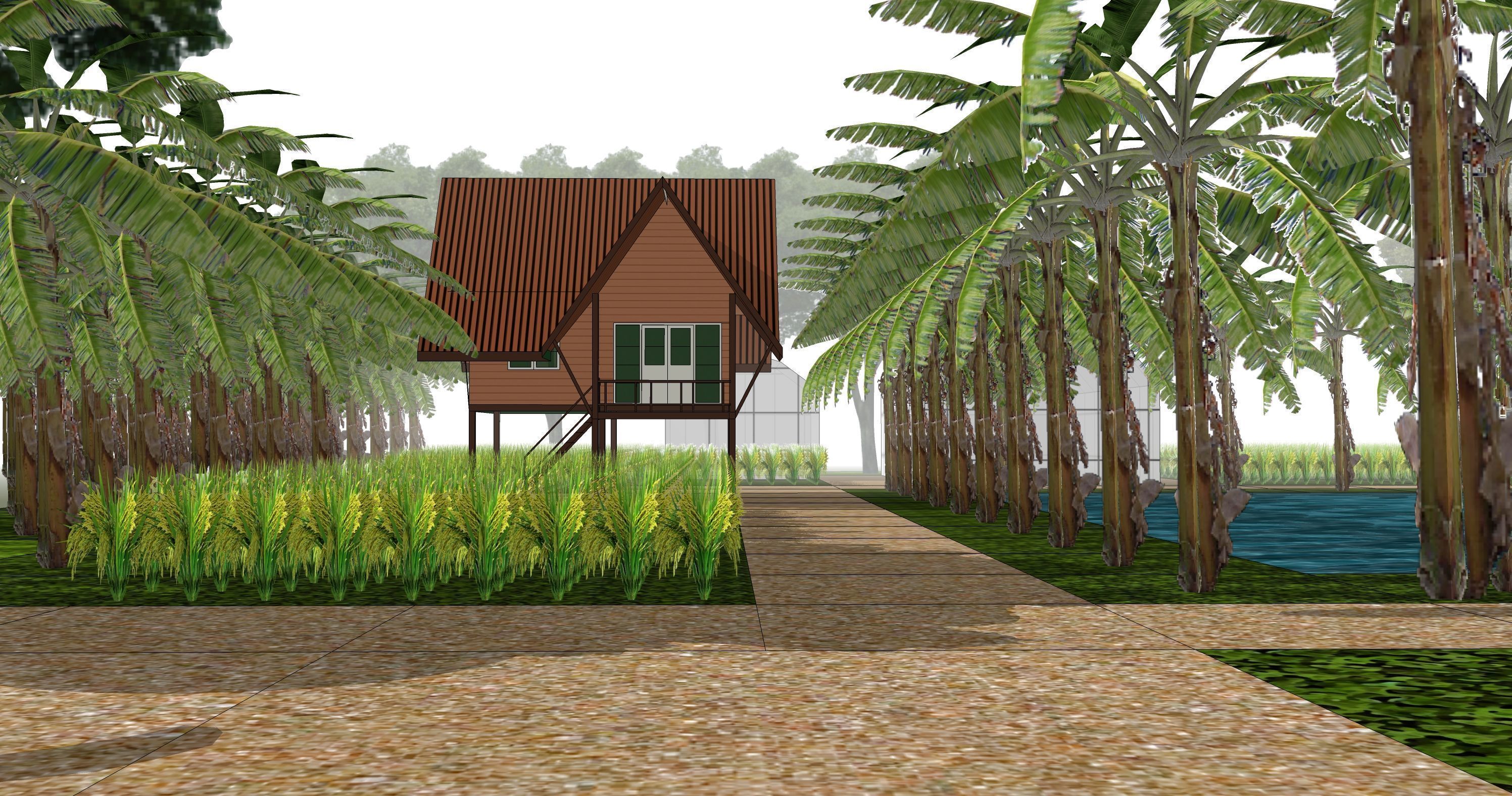 Tropical farm 3D model_4