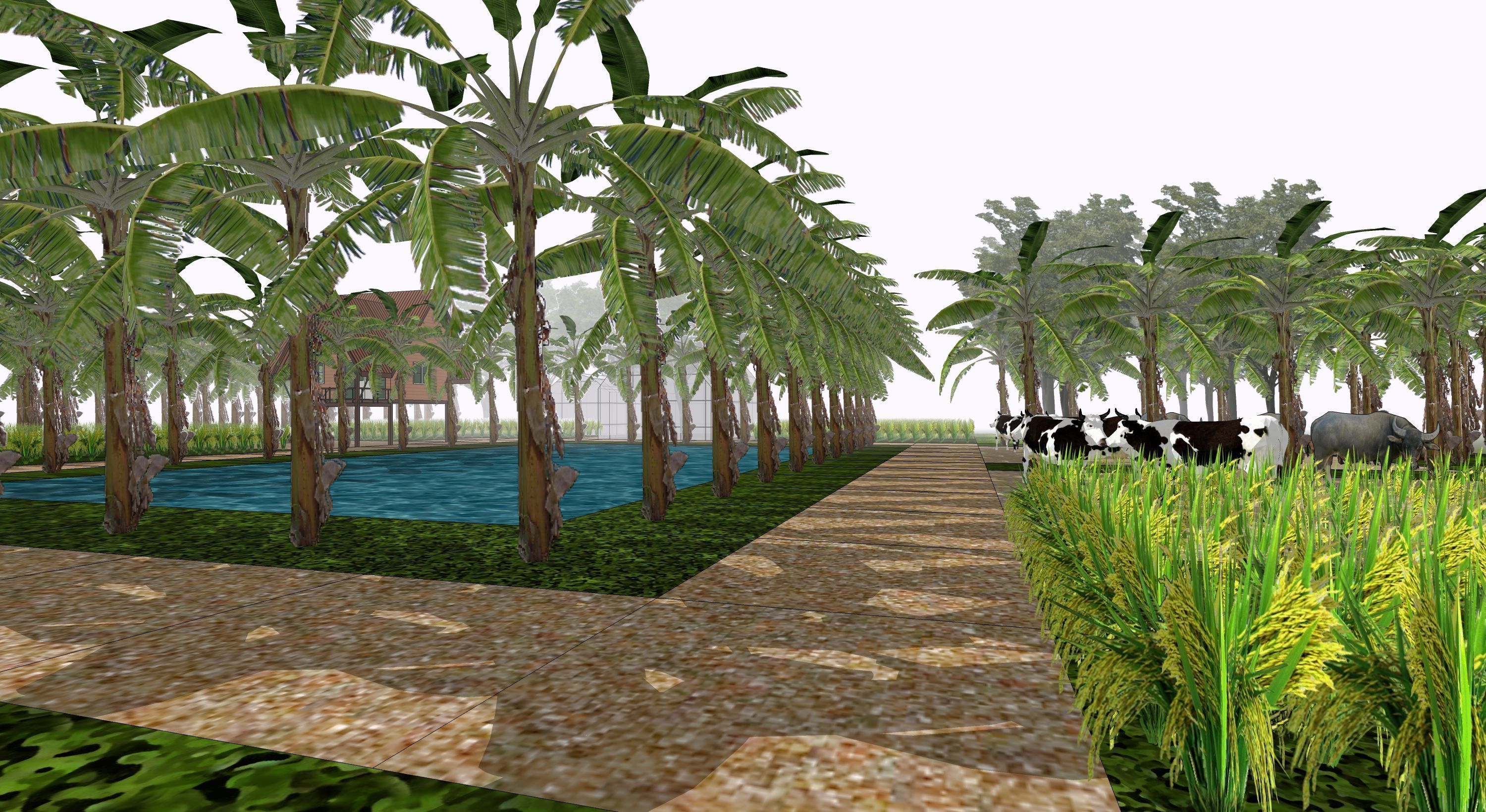 Tropical farm 3D model_5
