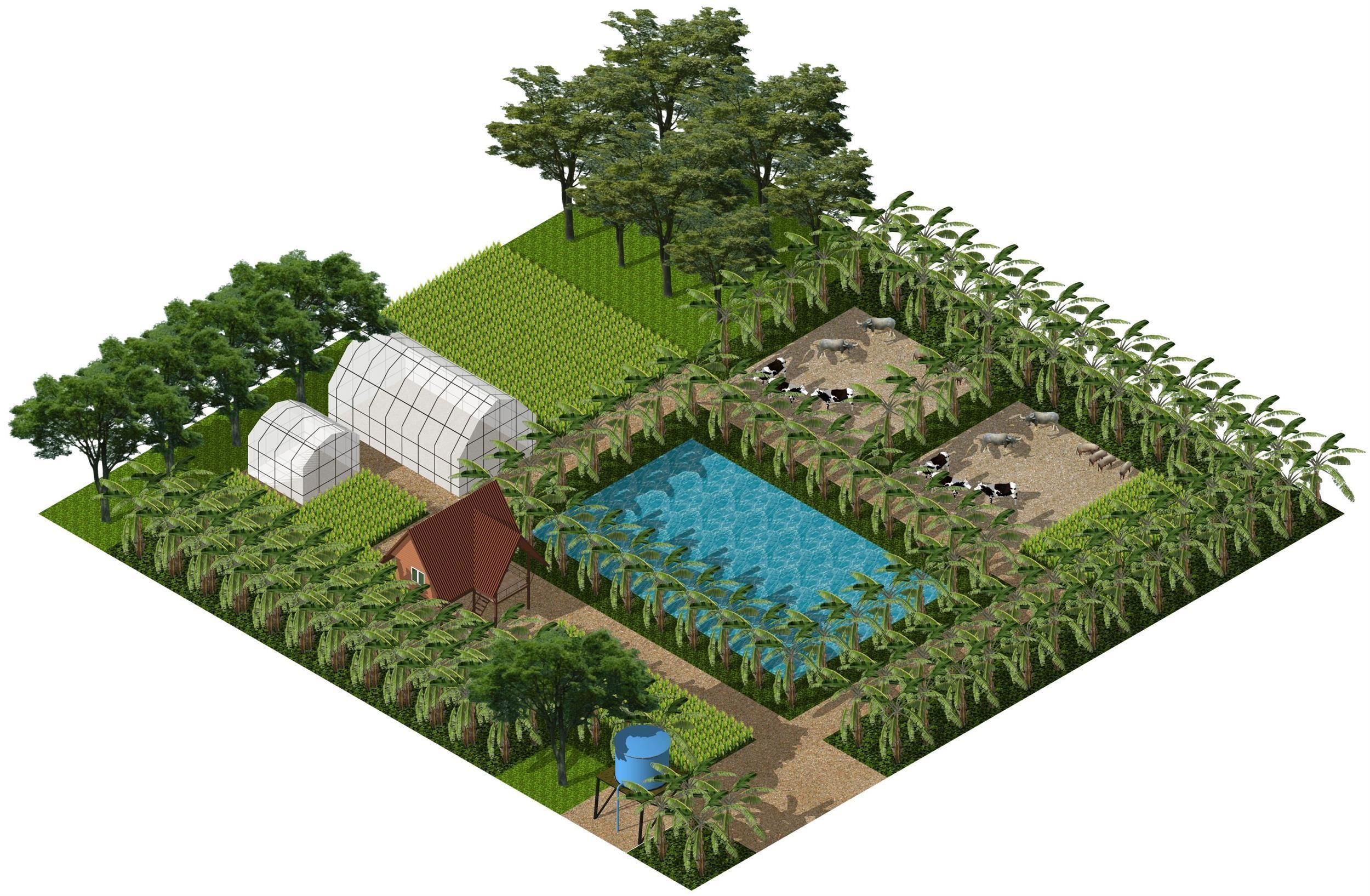 Tropical farm 3D model_1