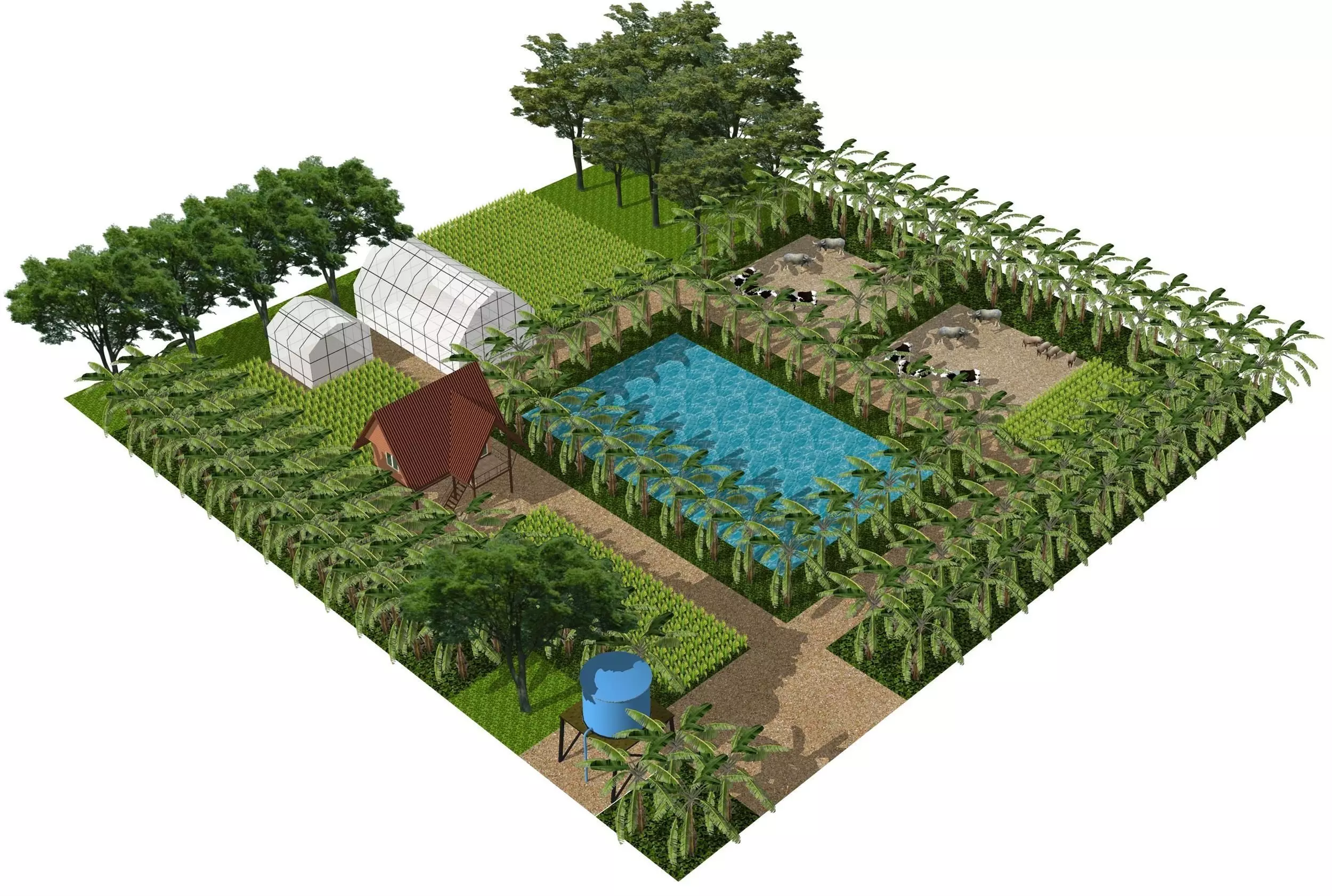 Tropical farm 3D model_0