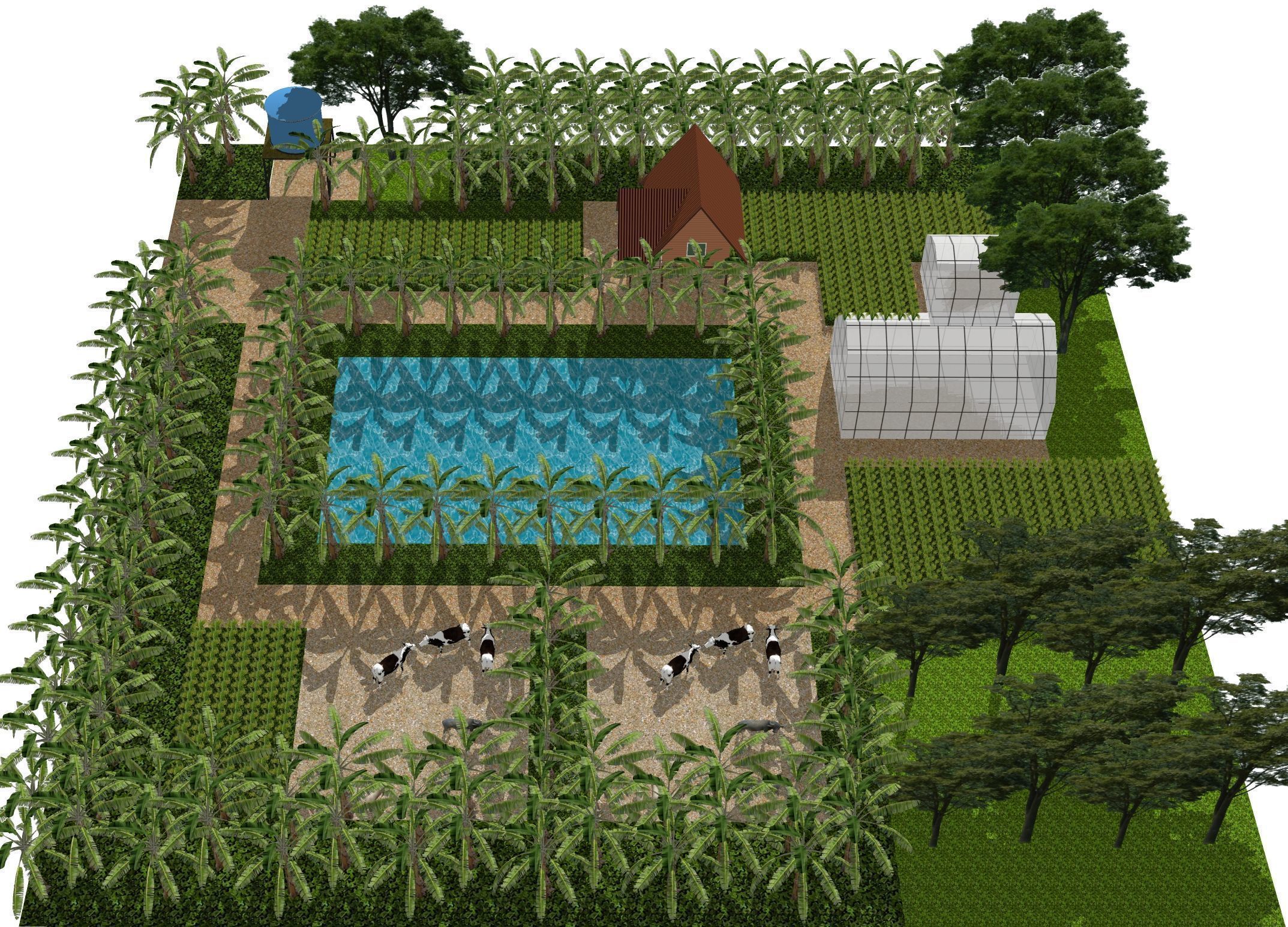 Tropical farm 3D model_3