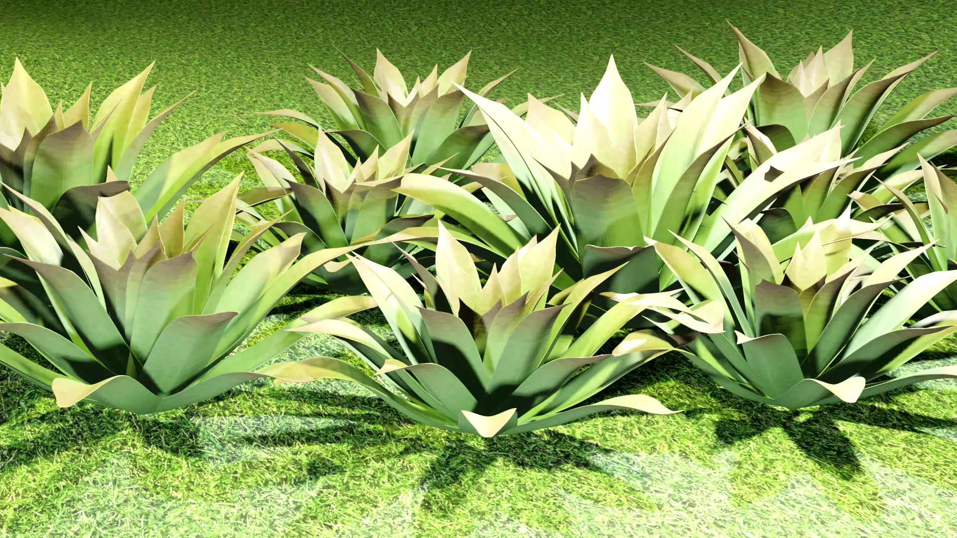 Bromeliad Plant 3D model_0