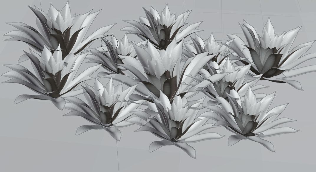 Bromeliad Plant 3D model_3