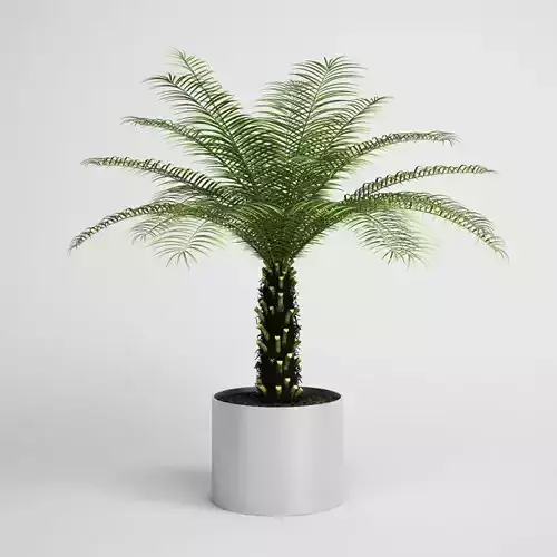 CGAXIS Potted House Plant