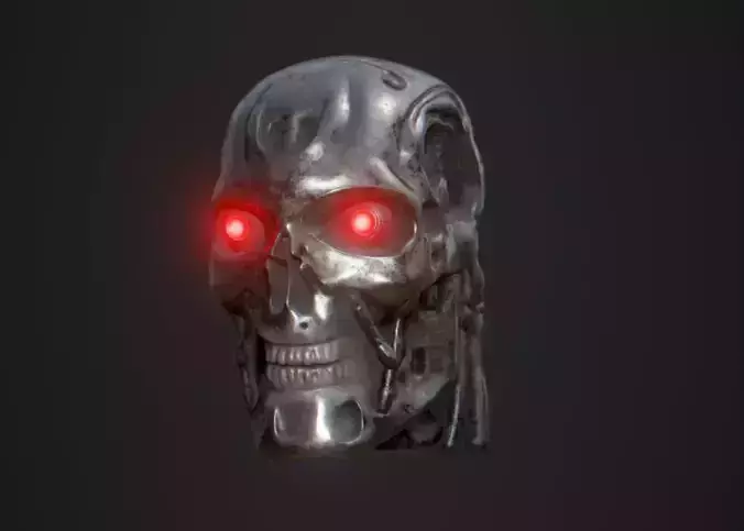 T 800 Head