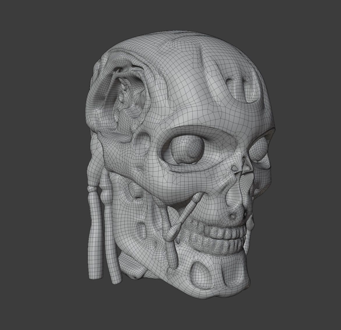 T 800 Head Low-poly 3D model_5