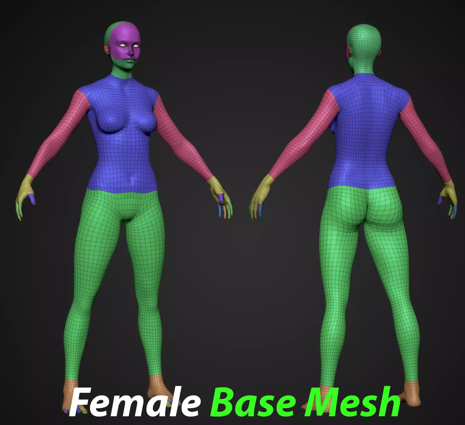 Female Base Mesh Free low-poly 3D model_0