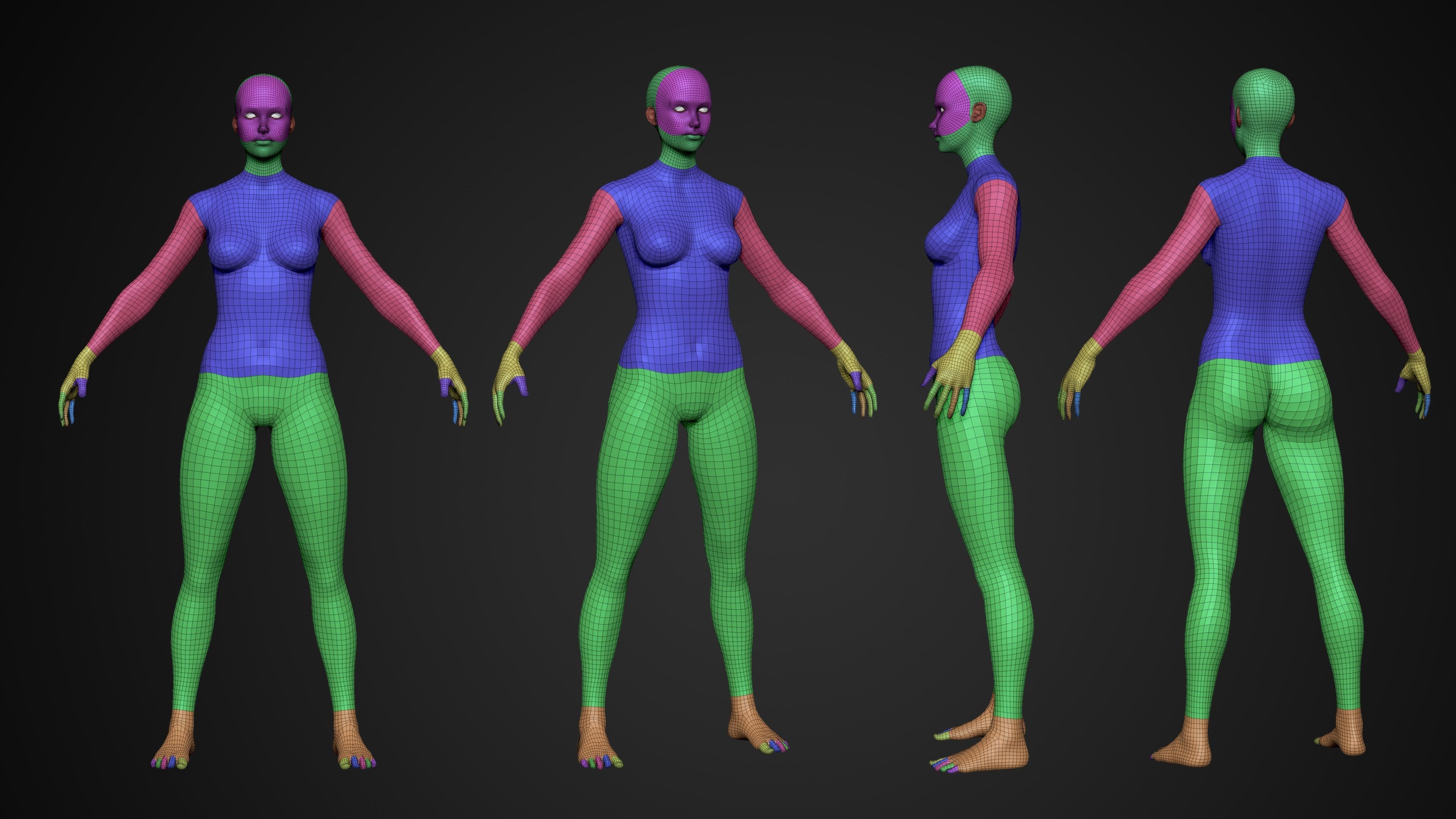 Female Base Mesh Free low-poly 3D model_1