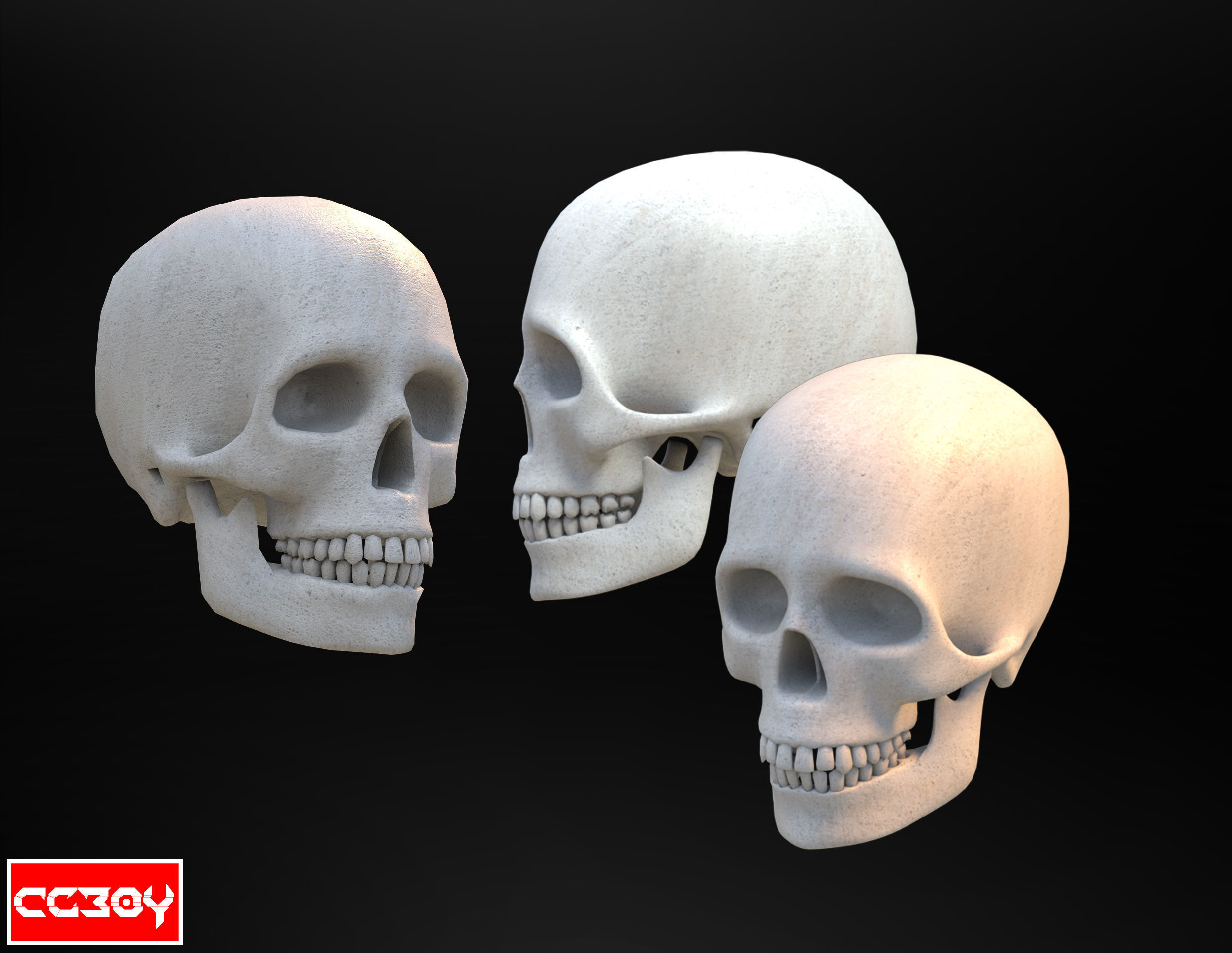 Human Skull 3D model_3